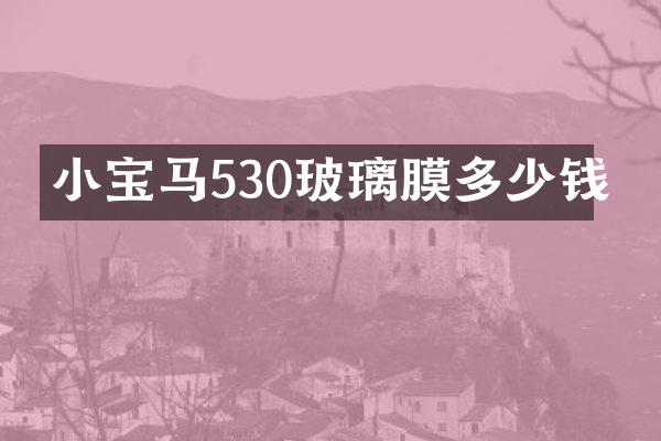 小宝马530玻璃膜多少钱