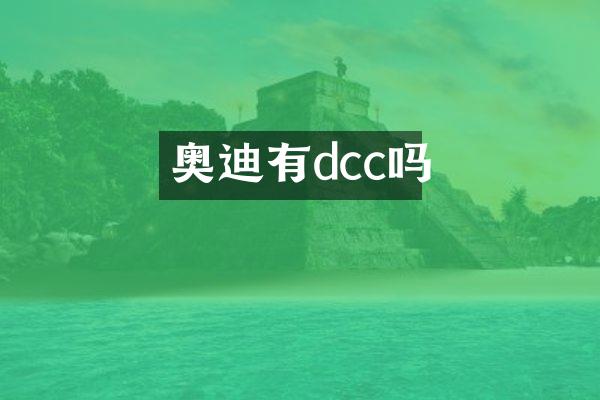 奥迪有dcc吗