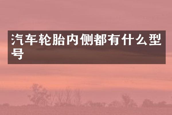 汽车轮胎内侧都有什么型号