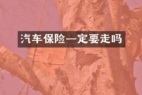 汽车保险一定要走吗