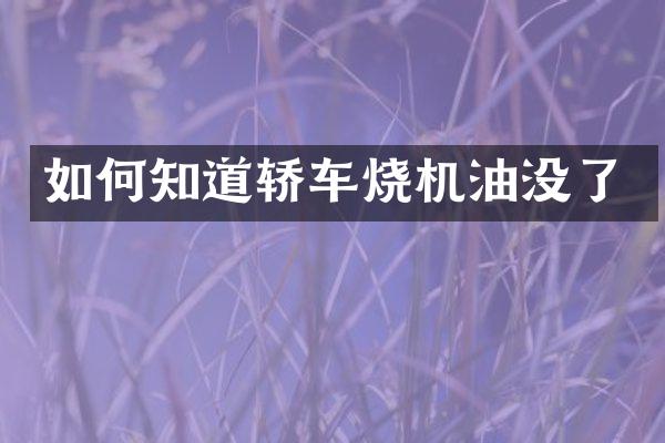 如何知道轿车烧机油没了