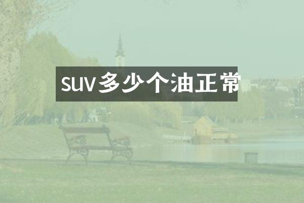 suv多少个油正常
