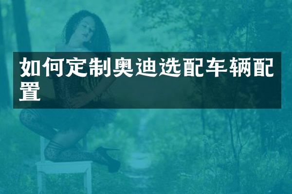 如何定制奥迪选配车辆配置