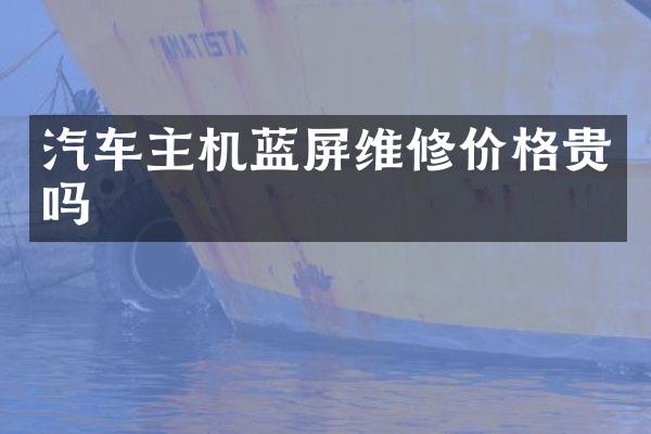 汽车主机蓝屏维修价格贵吗