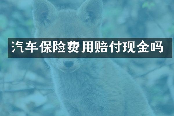 汽车保险费用赔付现金吗