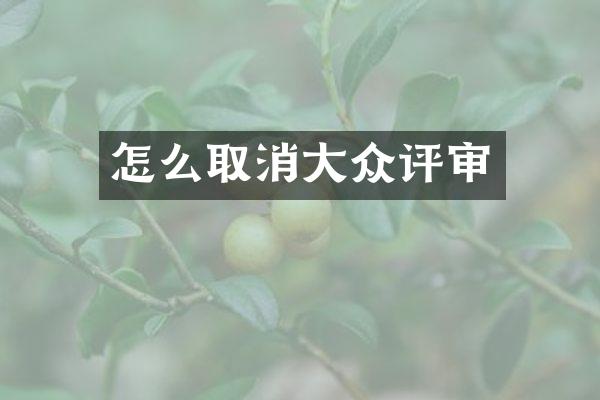 怎么取消大众评审
