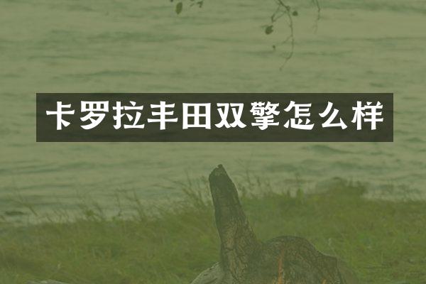 卡罗拉丰田双擎怎么样