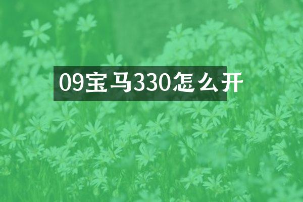 09宝马330怎么开