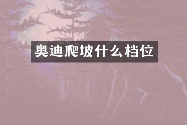 奥迪爬坡什么档位