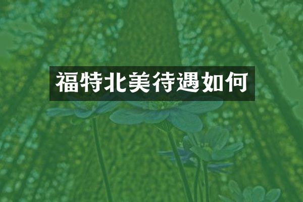 福特北美待遇如何
