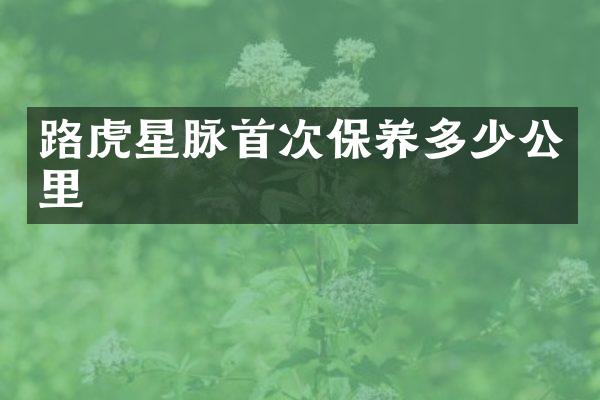 路虎星脉首次保养多少公里
