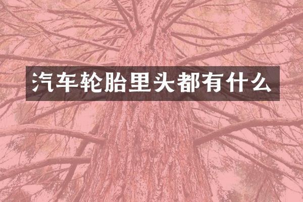 汽车轮胎里头都有什么