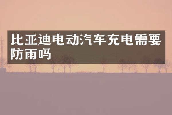 比亚迪电动汽车充电需要防雨吗