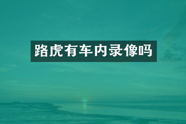 路虎有车内录像吗