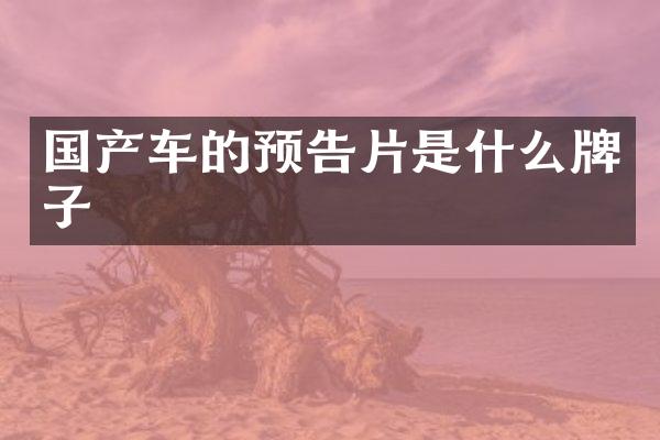 国产车的预告片是什么牌子