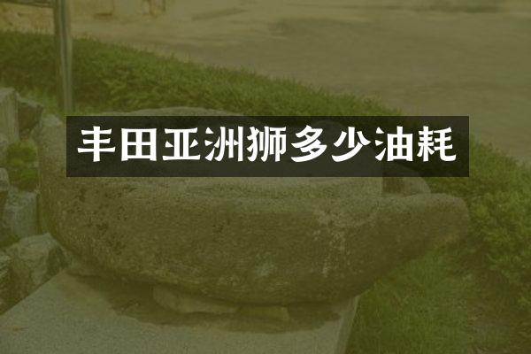 丰田亚洲狮多少油耗