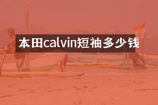 本田calvin短袖多少钱