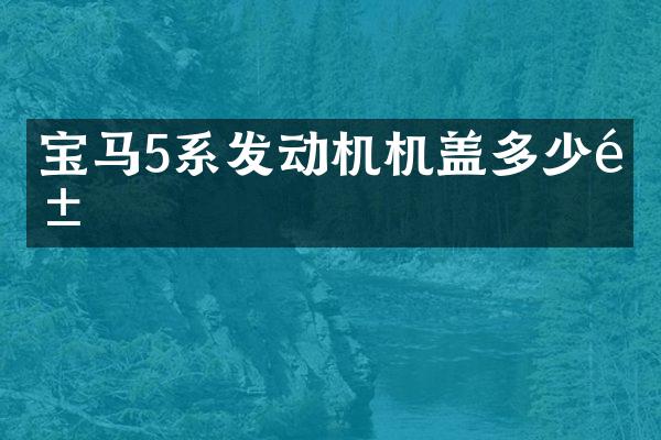 宝马5系发动机机盖多少钱