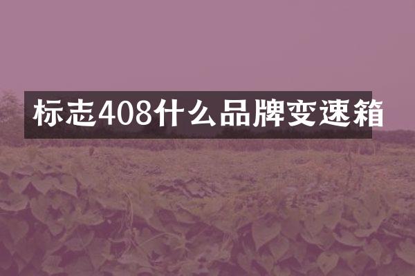标志408什么品牌变速箱