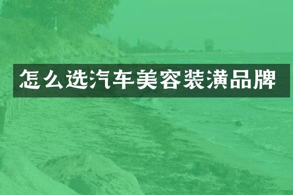 怎么选汽车美容装潢品牌