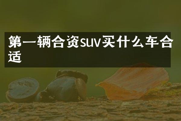 第一辆合资suv车合适
