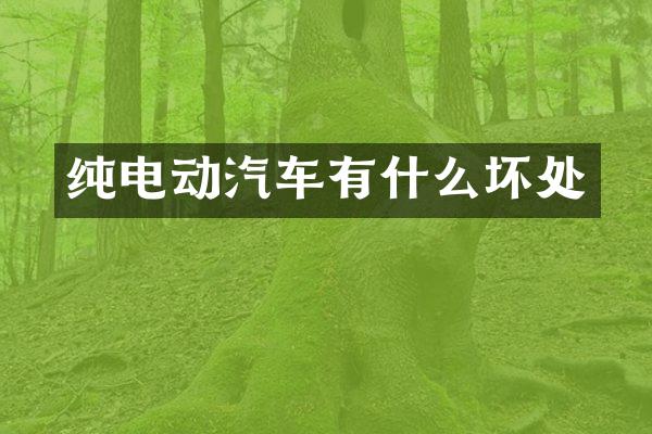 纯电动汽车有什么坏处