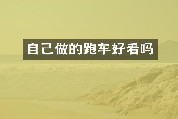 自己做的跑车好看吗