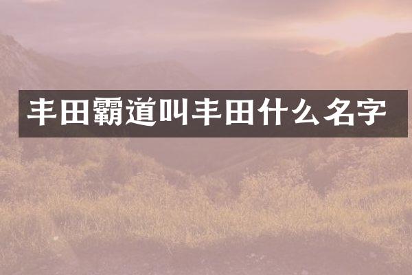 丰田霸道叫丰田什么名字