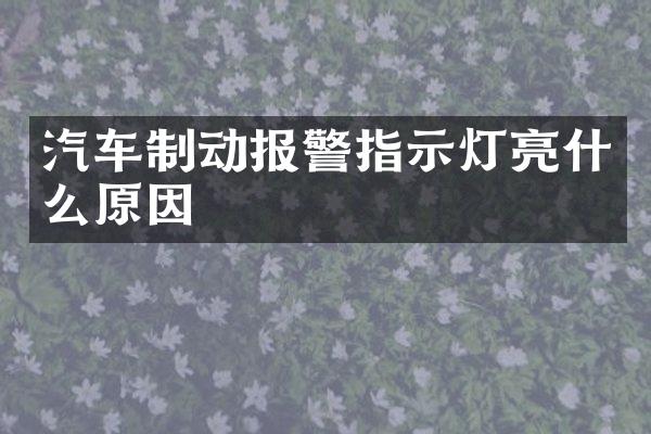 汽车制动报警指示灯亮什么原因