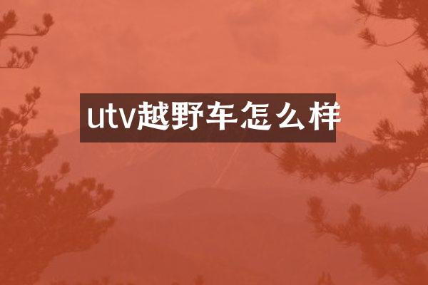 utv越野车怎么样