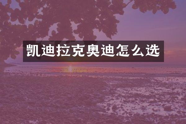 凯迪拉克奥迪怎么选