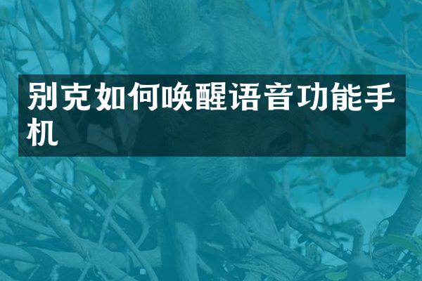 别克如何唤醒语音功能手机