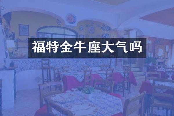福特金牛座大气吗