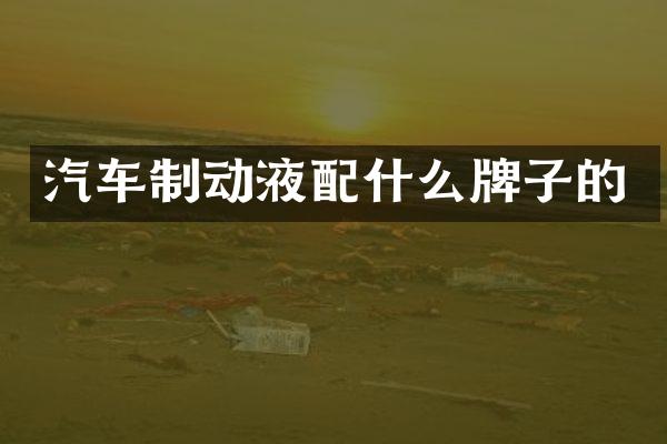 汽车制动液牌子的