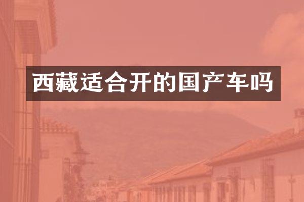 西藏适合开的国产车吗