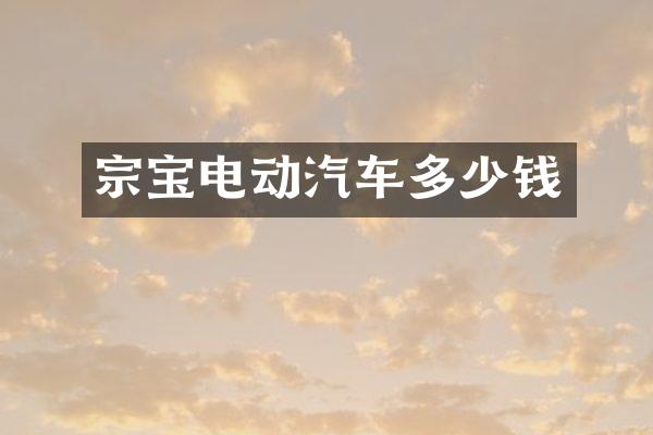 宗宝电动汽车多少钱