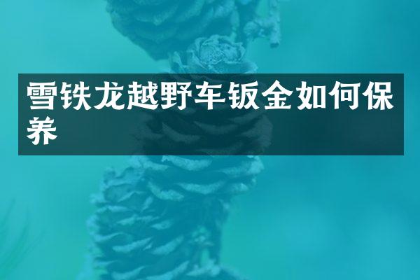 雪铁龙越野车钣金如何保养