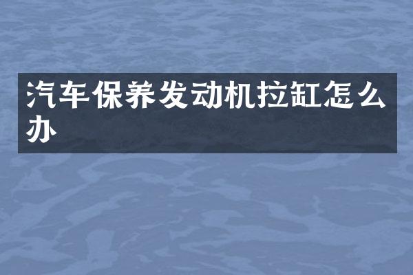 汽车保养发动机拉缸怎么办
