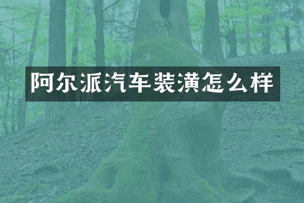 阿尔派汽车装潢怎么样
