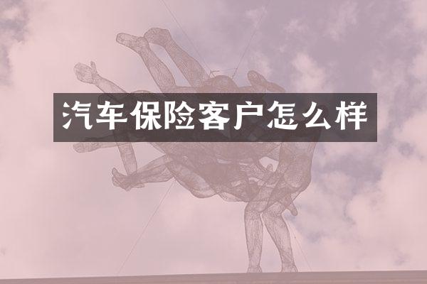 汽车保险客户怎么样