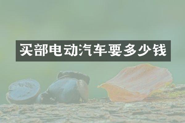 买部电动汽车要多少钱