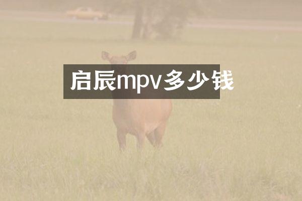 启辰mpv多少钱