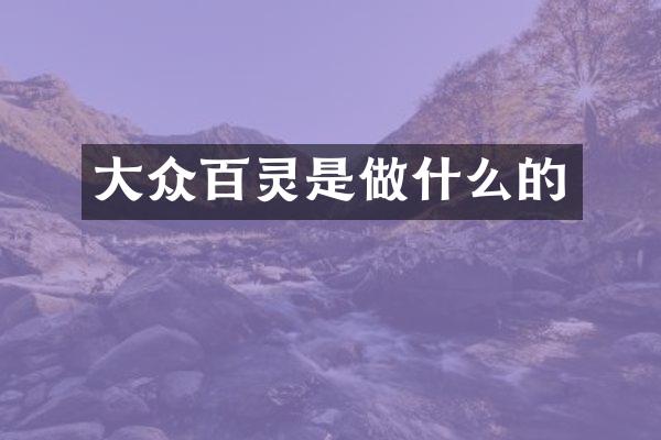 大众百灵是做什么的