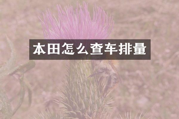 本田怎么查车排量