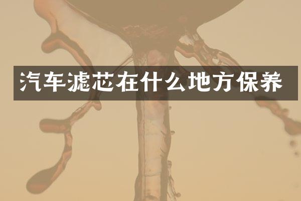 汽车滤芯在什么地方保养