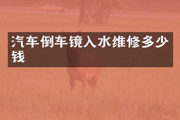 汽车倒车镜入水维修多少钱