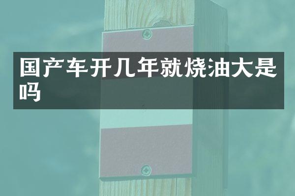 国产车开几年就烧油大是吗