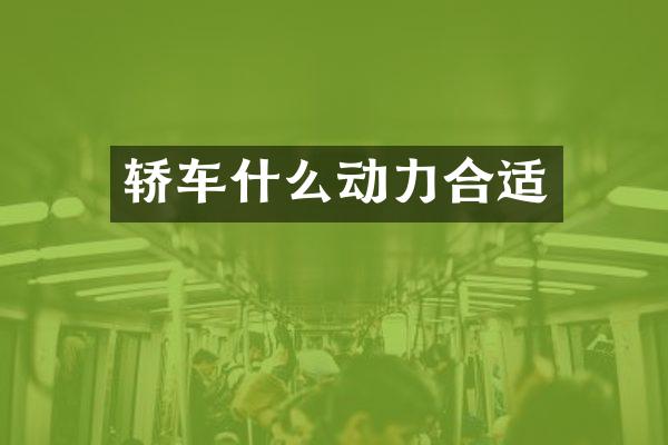 轿车什么动力合适