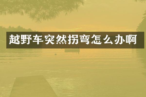 越野车突然拐弯怎么办啊