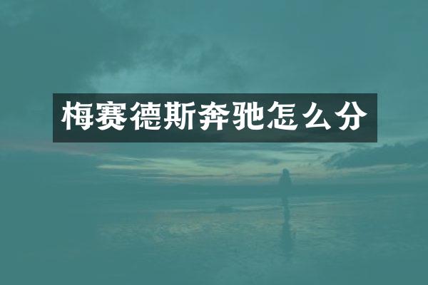 梅赛德斯奔驰怎么分